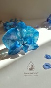 Spinka do włosów storczyk kwiat w żywicy niebieski - Esencja Żywicy 