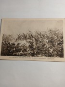 Jan Gniewosz pod Kirchholmem na czele Husarskiej Chorągwi