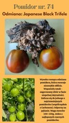 Nasiona Pomidorów Japanese Black Trifele 