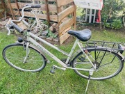 Rower Peugeot Florence