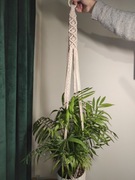 Kwietnik Makramila, makrama handmade 