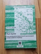 Śląsk Opolski Krystian Heffner