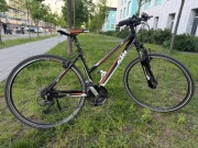 Rower damski KTM X-Cross Life 