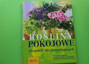 Rośliny Pokojowe Poradnik Dla Początkujących