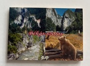 Drewniany magnes na lodówkę Rumunia Bukareszt Braszów Gałacz Jassy Arad (7)