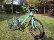 Rower Tabou Topshe 1.0 Mint Pink