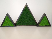 Obraz z mchu chrobotka , dekoracje 