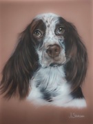 Portret psa kota ze zdjęcia na zamówienie