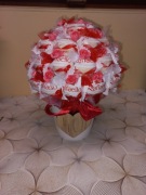 Drzewko Raffaello w doniczce 