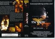 KRUK 2 MIASTO ANIOŁÓW