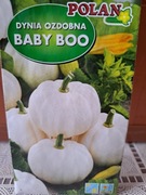 Dynia ozdobna 'Baby Boo'