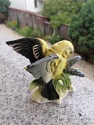 Bardzo piękny ptak Goebel,