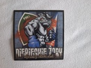 Vlepki Ruch Chorzów Żory #2