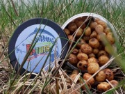 Orzech tygrysi BANANOWY 