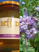 Miód faceliowy 720 ml z własnej pasieki