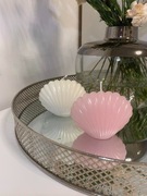 Świeca Muszla Pudrowy Róż