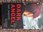 Mari Jungstedt, Dark Angel