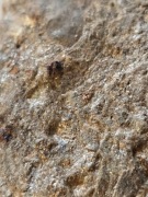 Granaty, piropy, łupek łyszczykowy, minerały, kolekcja kamieni