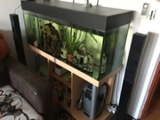 Akwarium 240 litrów