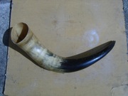 PIĘKNY RÓG BAWOŁU - 1!