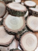 Plastry drewna dębowe 40 sztuk!!!