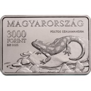 Węgry 3000 forintów, 2025 Park Narodowy, salamandra