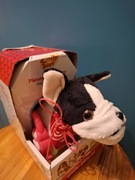 Piesek chodzący na smyczy 