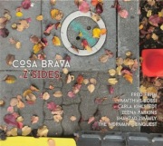 Cosa Brava - Z Sides Fred Frith Zeena Parkins