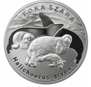 20zl  srebro, 2007, foka szara