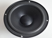 GDN 16/60 polski niskotonowy głośnik