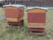 Kompletne wyposażenie pasieki - Ule drewniane i sprzęt pasieczny