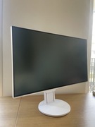 Monitor EIZO FlexScan 