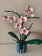 LEGO 10311 Botanicals Orchidea