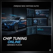 Chip tuning online , indywidualna obróbka plików.