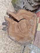 Plaster Drewna Orzech Włoski 73/9 cm Blat Stół Stolik DIY Wysuszony