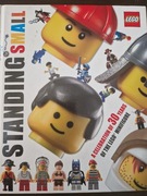 Standing Small LEGO