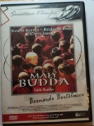 Mały budda dvd  
