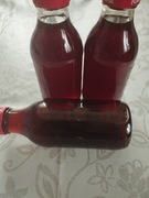 Syrop z mniszka lekarskiego 