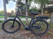 Rower elektryczny Brinckers Brisbane M7 