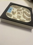 Formikarium 3d dla mrówek Wersja B