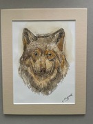 Wilk  - Ręcznie wykonany obraz – szkic piórem i akwarela