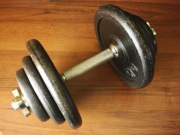 Hantla. Sztangielka. 17,5 kg. Gryf i zaciski metalowe niklowane