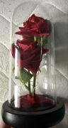 Świecąca Róża w szkle