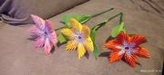 Kwiatki z origami modułowego.