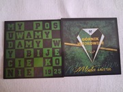 Vlepki Górnik Wojkowice / Zagłębie Sosnowiec