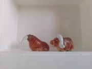 Figurki ceramiczne bawół i mors.