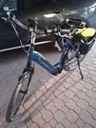 Rower Gazella hybryda C8