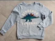 Bluza dinozaur