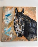 Obraz na płótnie – koń / portret konia