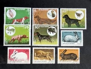 Zwierzęta Bułgaria  z32